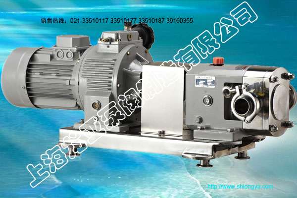 ISGD低转速立式管转子泵